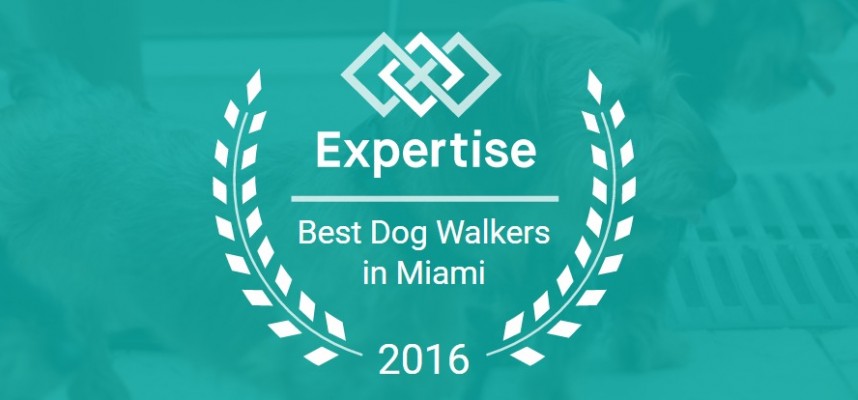 Wiggle Waggle Tails Awarded 2016 Best Dog Walkers in Miami